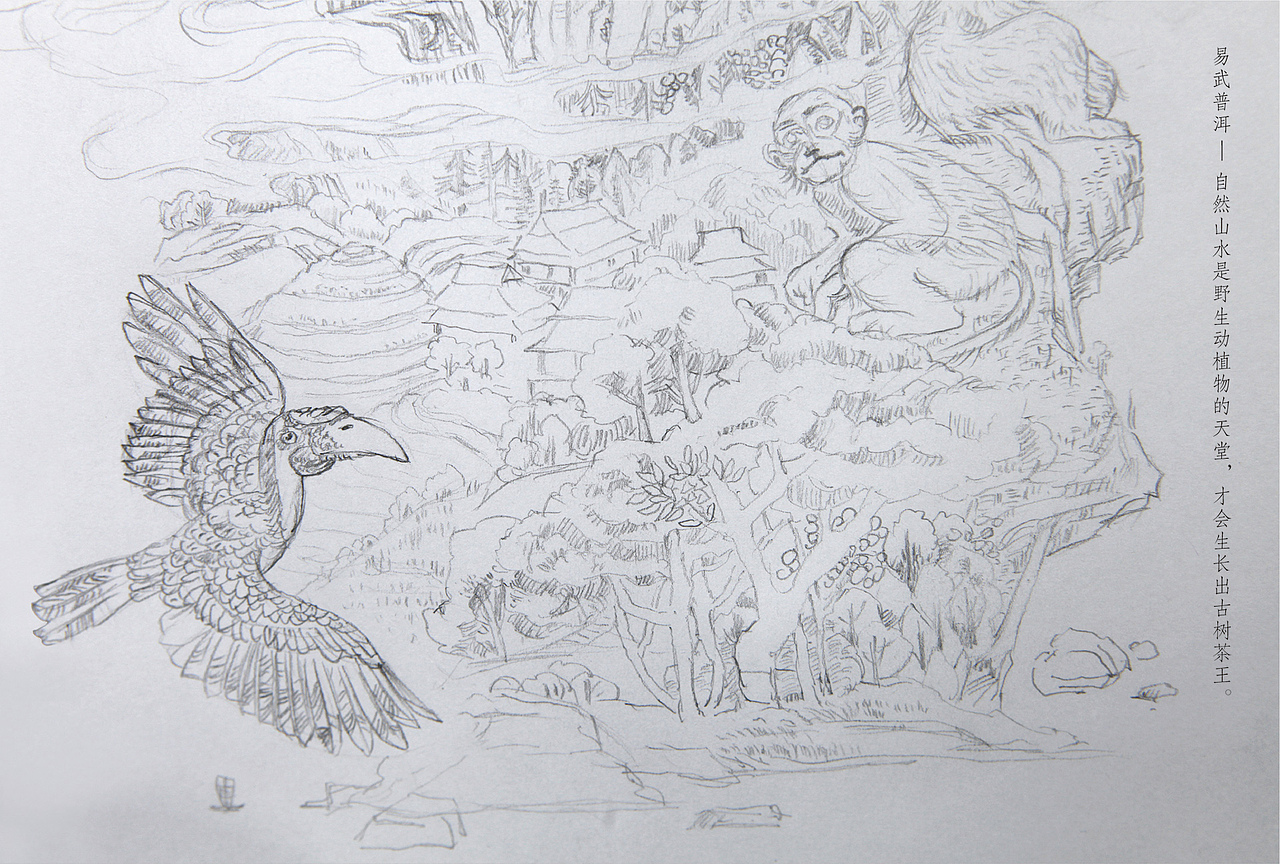 瑞泽群芳-精品普洱茶叶包装设计