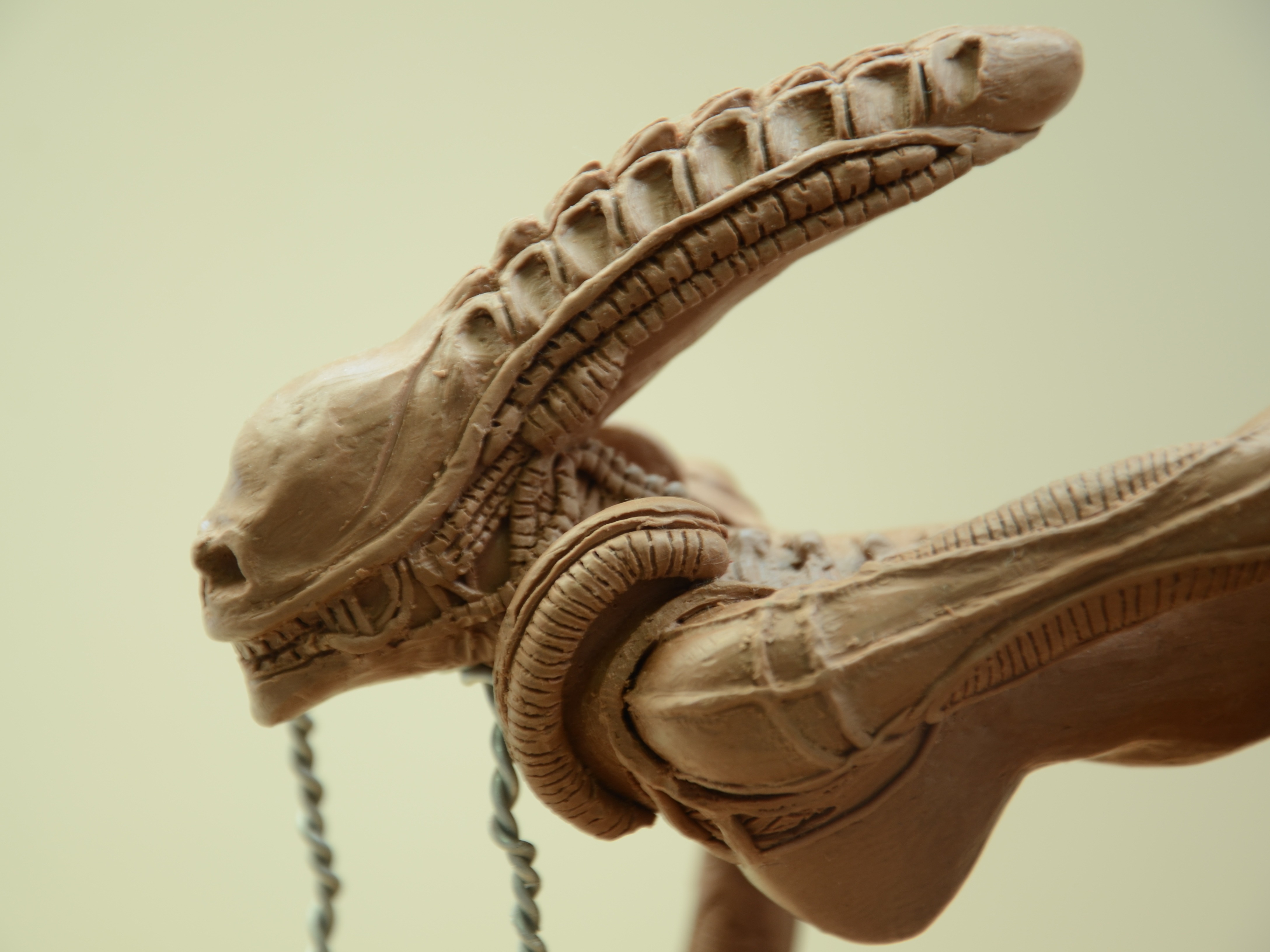 【 异形 】手办模型