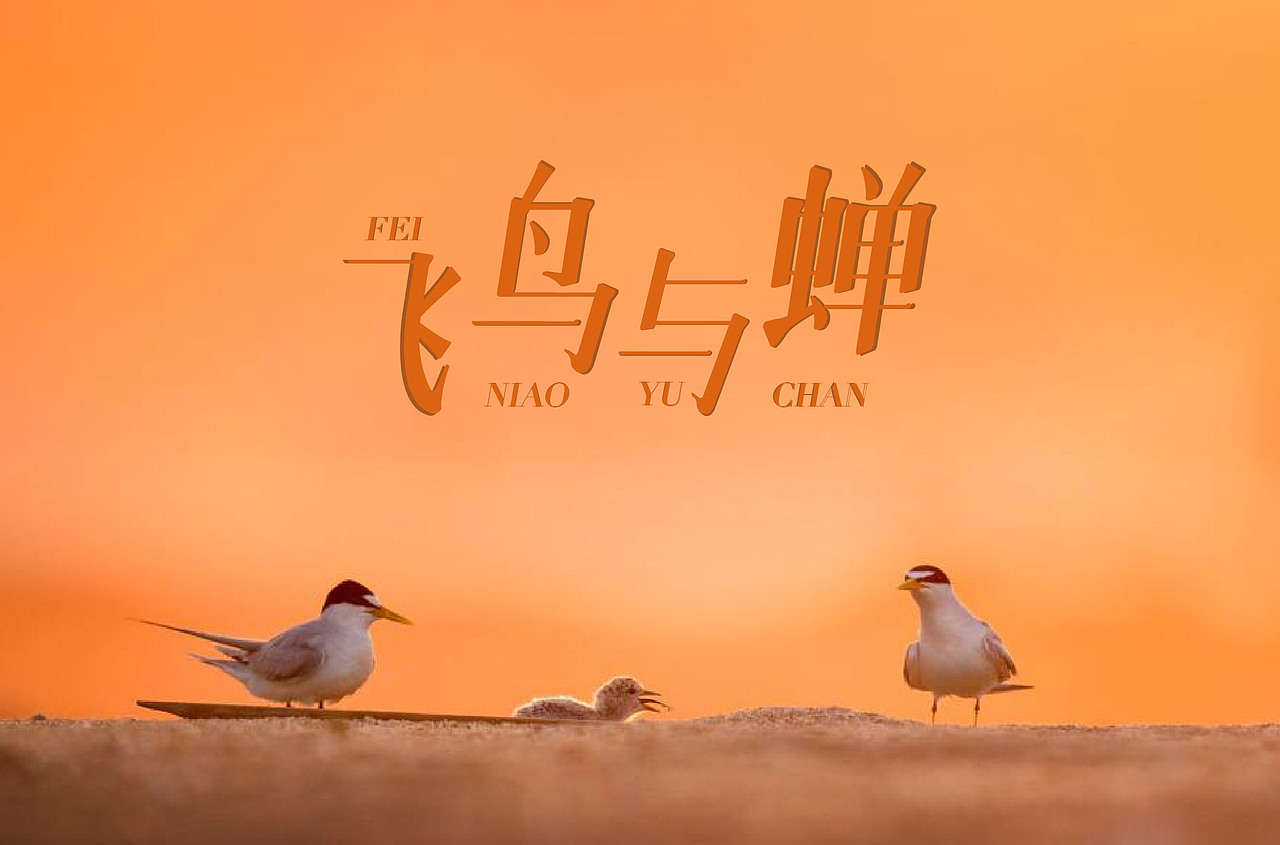 创意字体（图ZMjI1NTQ1NDg0） - 字体/字形 - 站酷设计师YY雨忆原创素材 - 站酷ZCOOL