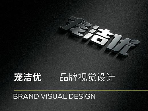 品牌视觉设计