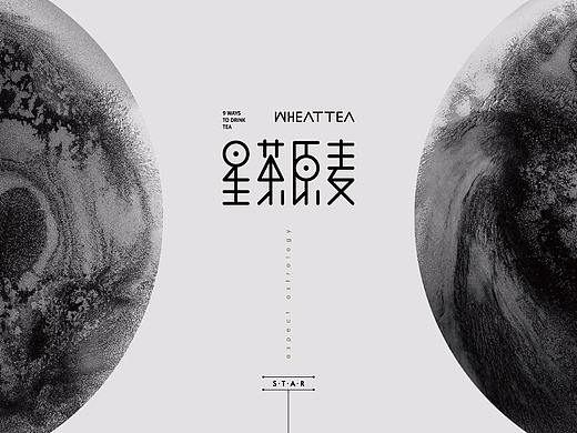 【星茶原麦·茶饮】核桃VI品牌形象设计