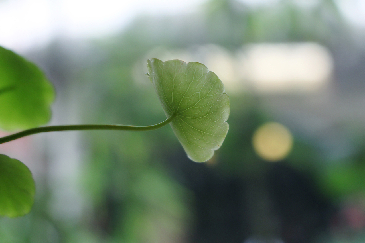 少年时,踌躇满志。