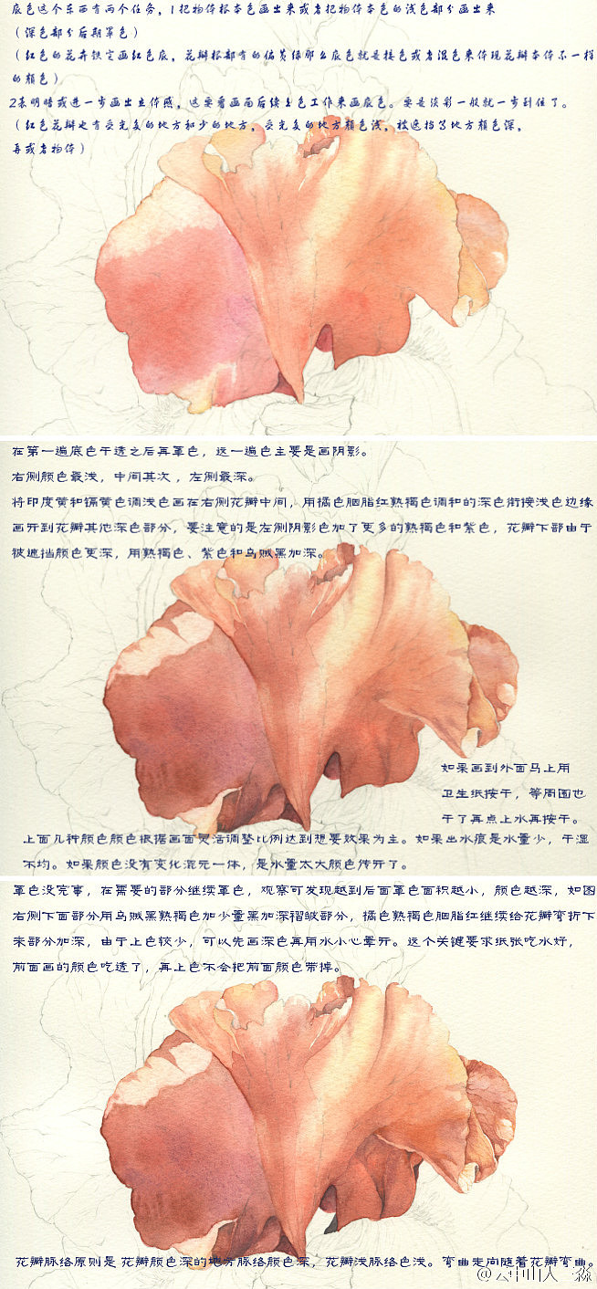 美丽鸢尾教程（图ZNDE5ODMxNzY=） - 商业插画 - 站酷设计师三淼君原创素材 - 站酷ZCOOL