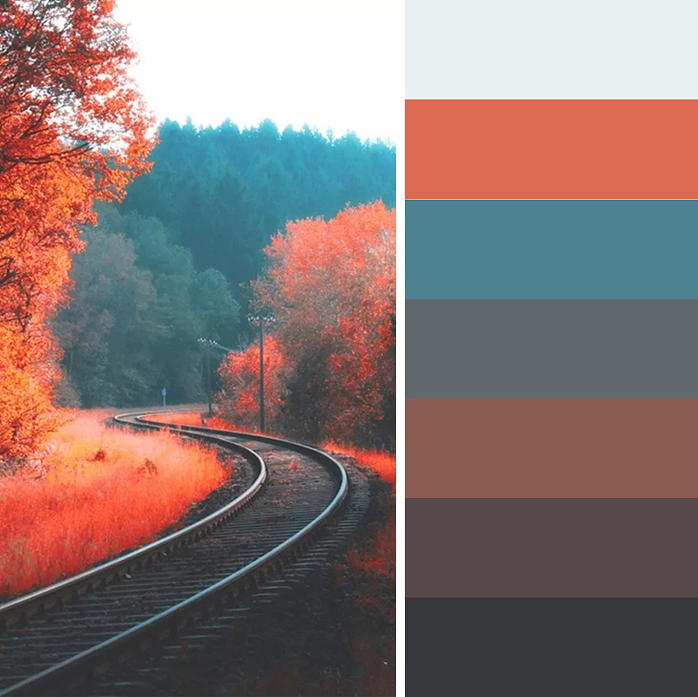 色彩搭配 提升视觉冲击力的五种配色方案 (色彩搭配提升方法)