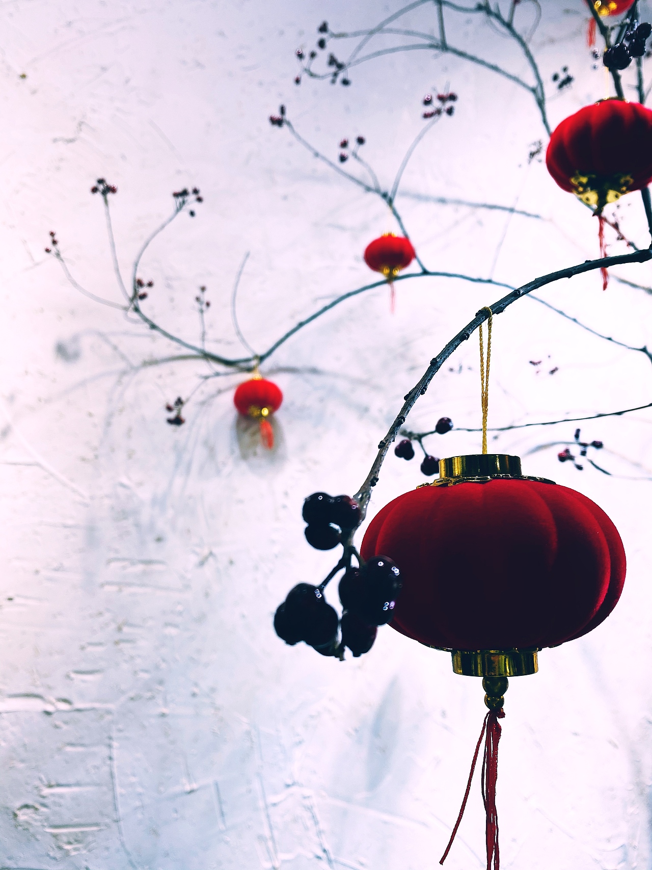 在橱窗里找寻“年味。”