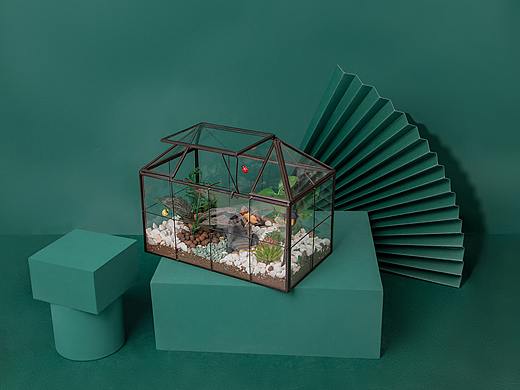 玻璃花岗拍摄修图