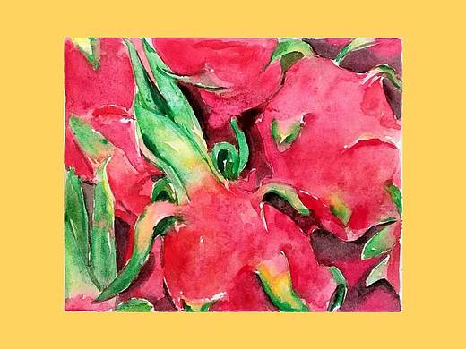 火龙果练习（个人主页-ZMzQ5MDM2MDQ=） - 绘画 - 站酷设计师月半月与半月半原创素材 - 站酷ZCOOL