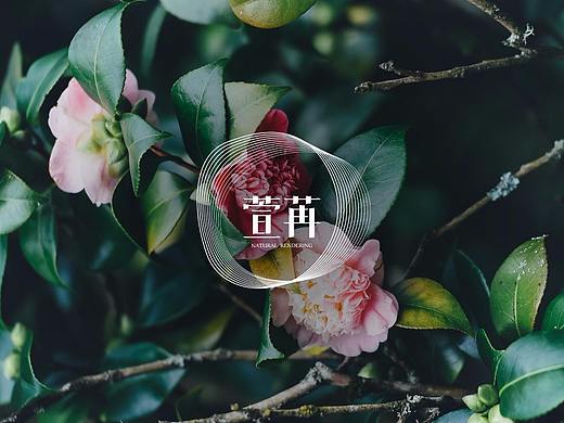 萱苒Natural Rendering - 品牌形象设计