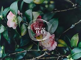 萱苒Natural Rendering - 品牌形象设计