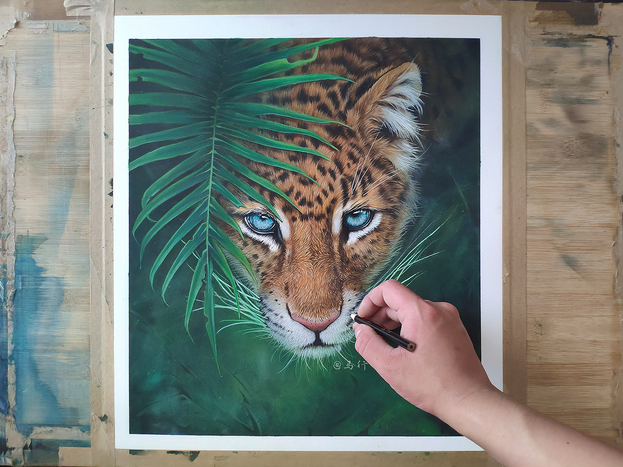 彩铅动物《豹》
