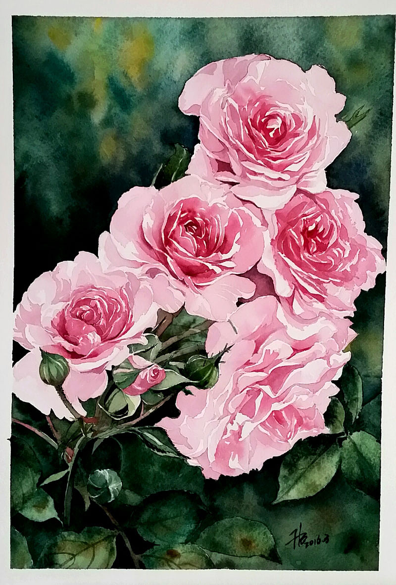 水彩花卉《蔷薇》