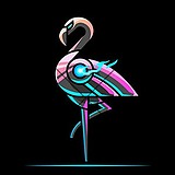 knight嫣然的头像