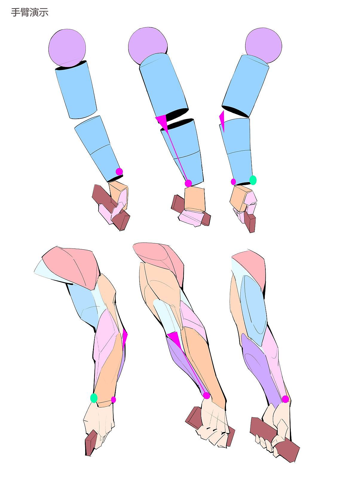 保姆级别手臂绘画教程~