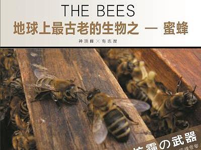 宣传册