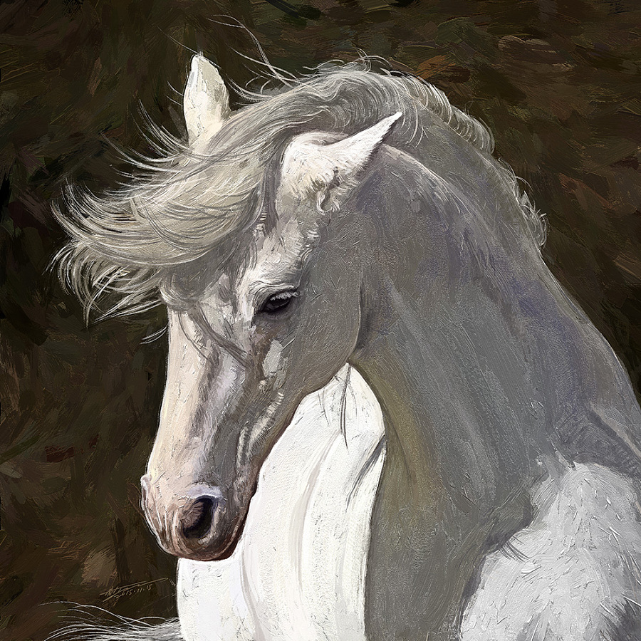 《白马Ⅱ》|商业插画|插画|春和绘 - 原创设计作品 - 站酷 (zcool)