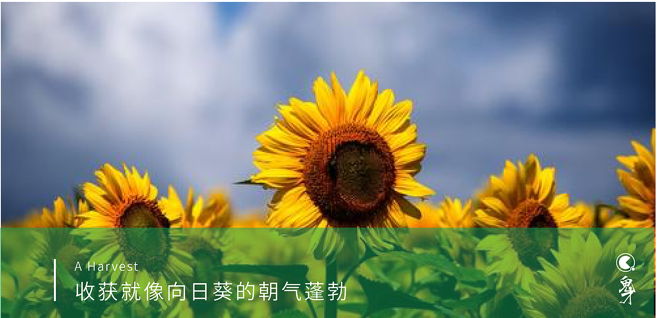 少儿教育logo设计-提案