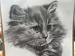 【素描作品】貓咪和靜物繪畫作品