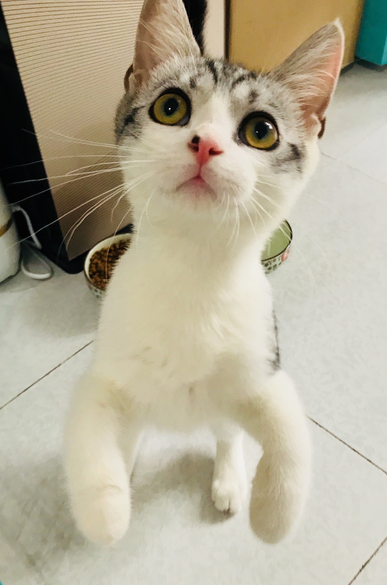 合成练习（图ZMTI3MzA2MDUy） - 其他 - 站酷设计师玄转木马原创素材 - 站酷ZCOOL