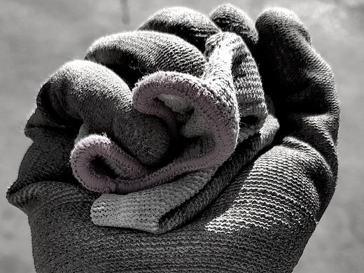 所见——手机随拍