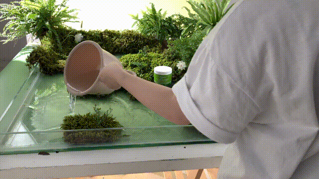 品牌视频 | 科颜氏牛油果面膜霜 x LIAOWO VISION