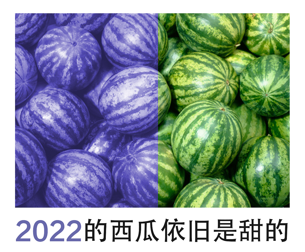 2022年的西瓜（图ZMjgxMjczODg4） - 修图/后期 - 站酷设计师老三吃不饱原创素材 - 站酷ZCOOL