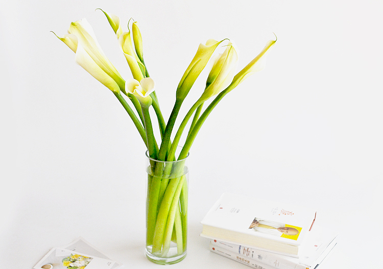 鲜花品牌 鲜花摄影