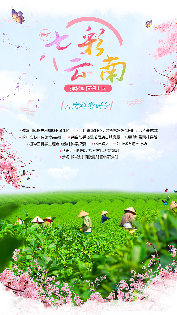 平面海报（图ZMTMyNjU4NjMy） - 海报 - 站酷设计师耿直的桐先生原创素材 - 站酷ZCOOL