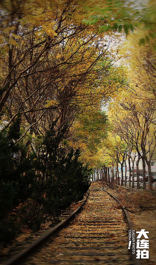 废弃的铁路秋天很美