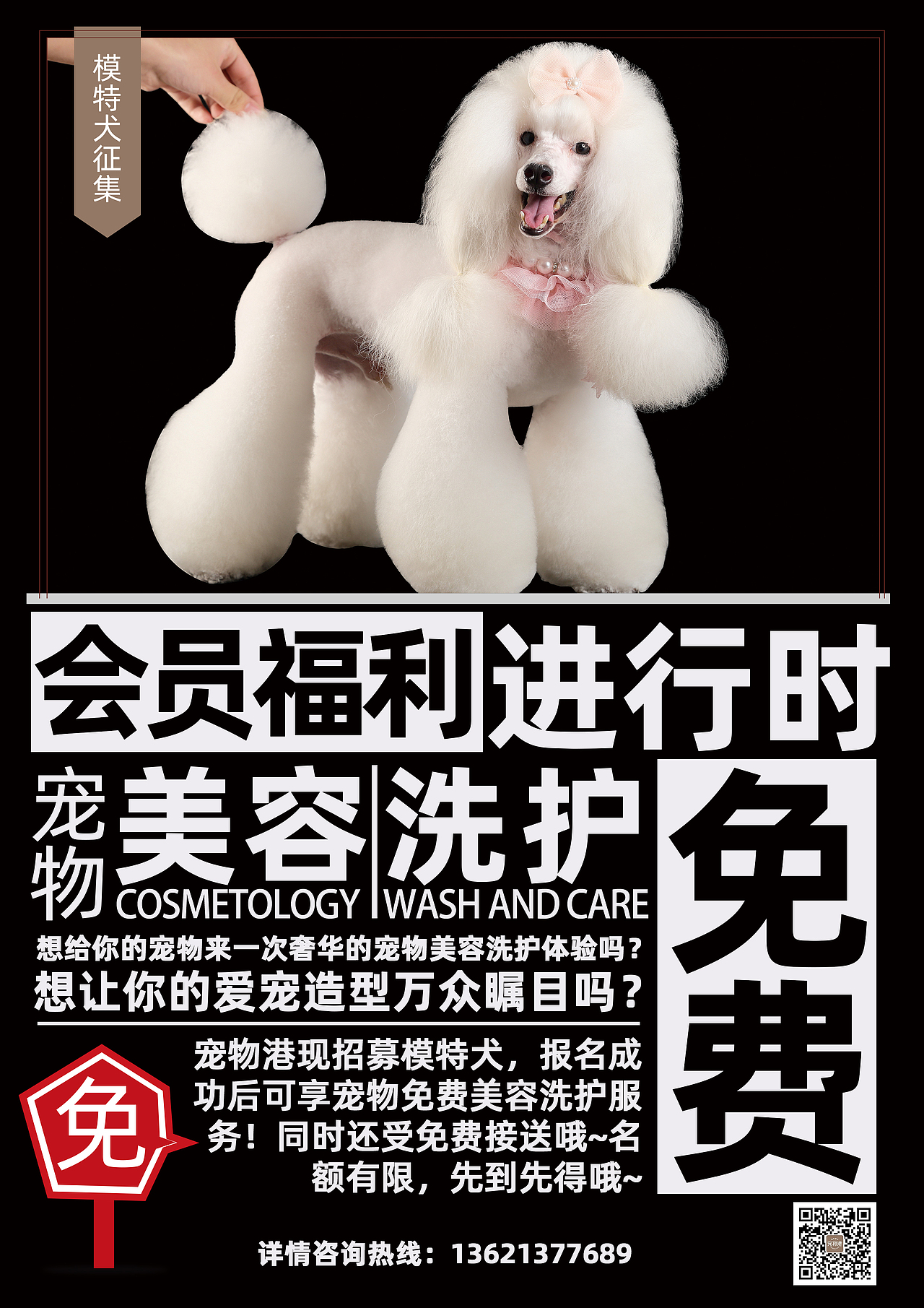 宠物港宣传海报（图ZMTc1MTkyOTc2） - 海报 - 站酷设计师小赵QAQ原创素材 - 站酷ZCOOL