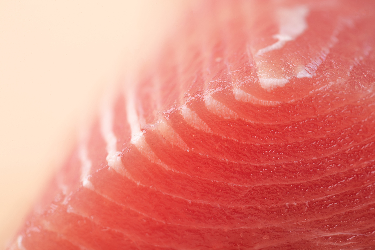 猫四方 | 冻干拍摄