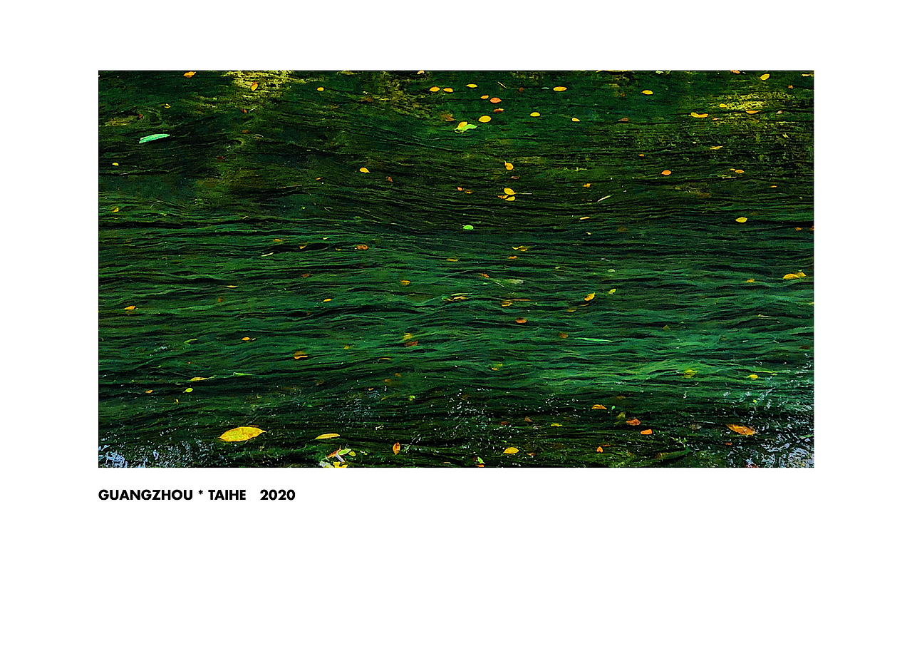 来自2020的手机摄影总结（图ZMjM4OTIzNzcy） - 人文/纪实摄影 - 站酷设计师霖马桶原创素材 - 站酷ZCOOL