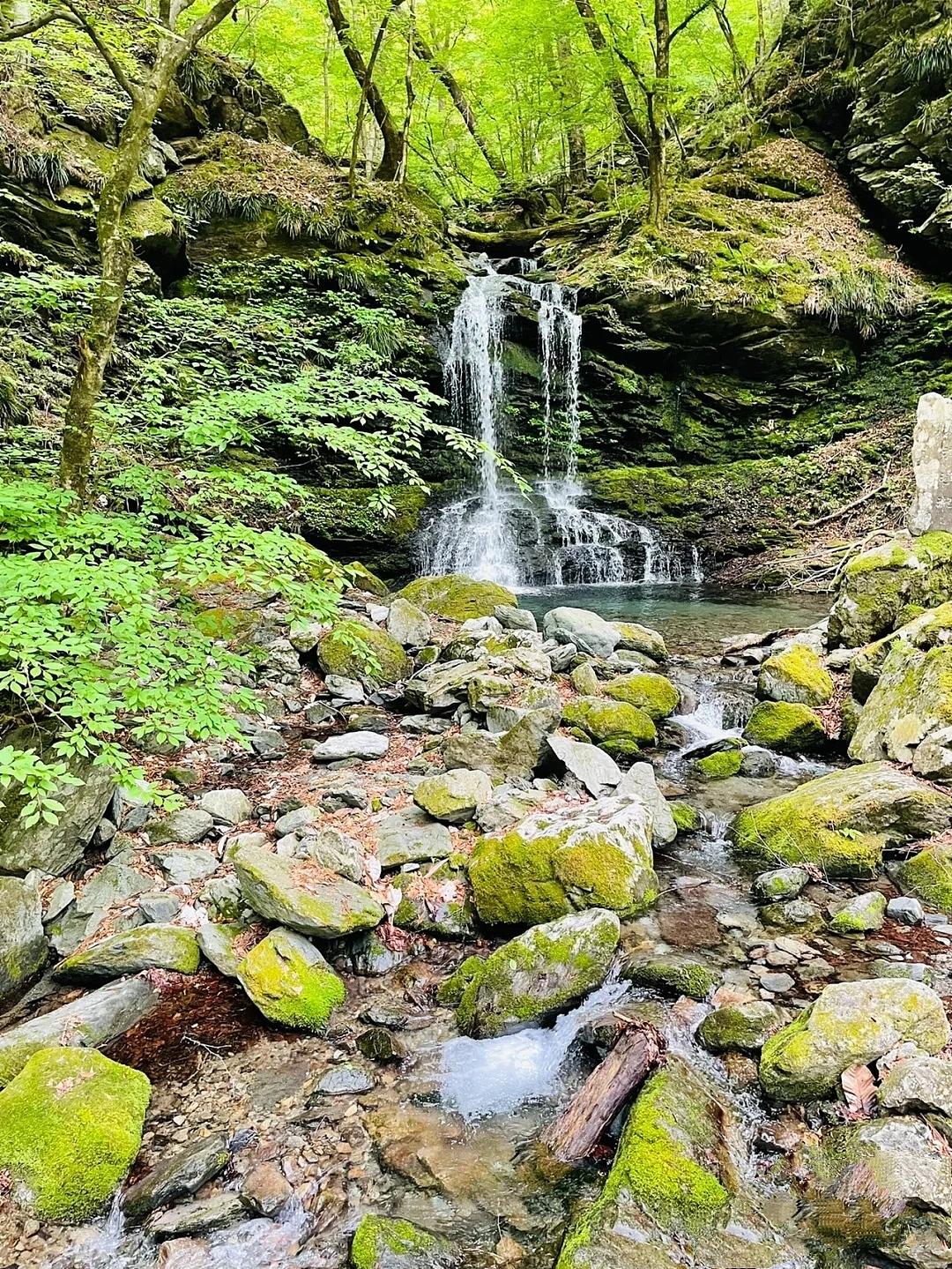 感受大自然的魅力