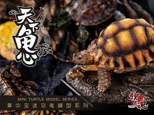 天下龟心——掌中宝迷你龟模型系列