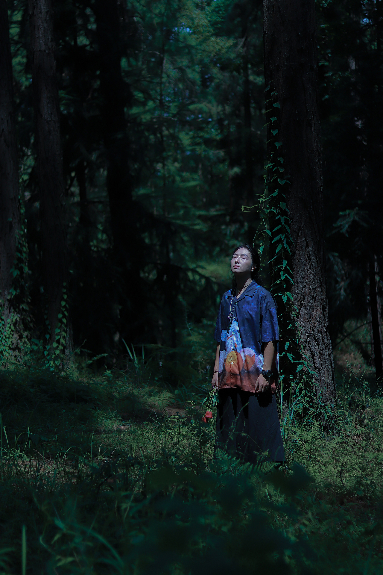 分享收藏佳人似玉听,风的声音～虚无情绪汉服摄影添加表情小家电摄影