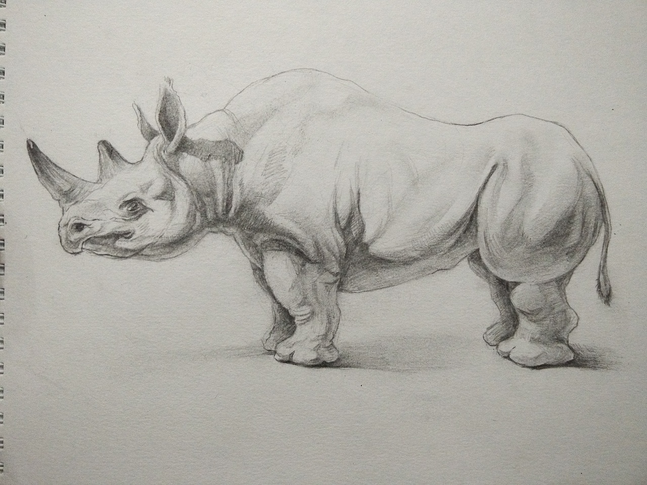 素描-手绘（图ZODYyMDM2Mjg=） - 其他 - 站酷设计师带上滑板去冲浪原创素材 - 站酷ZCOOL