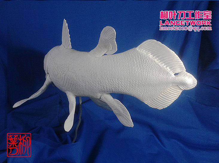 [柳叶刀工作室]腔棘鱼雕塑过程（图ZNzg2OTUzMjQ=） - 手办/模玩 - 站酷设计师柳叶刀六爷原创素材 - 站酷ZCOOL
