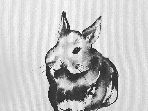 兔子