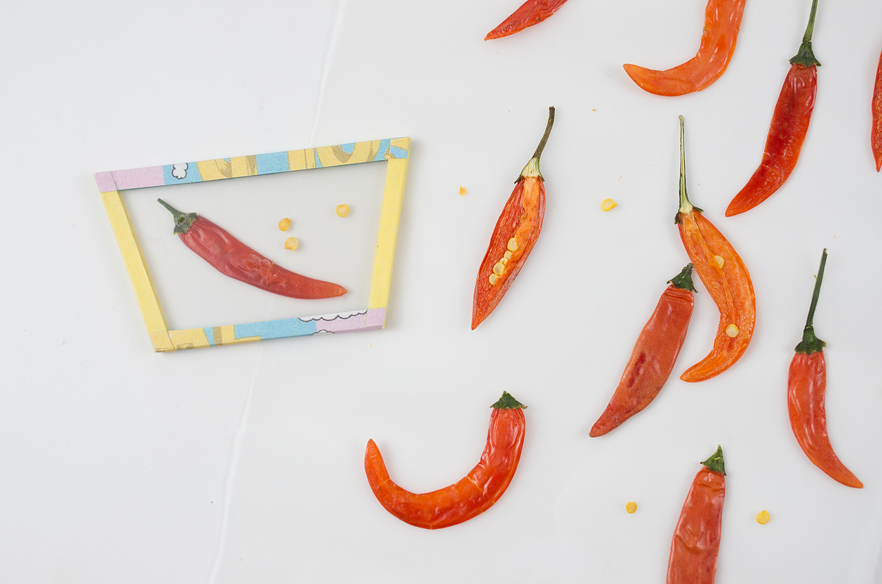 蔬菜食物平面海报设计与手作（图ZMTU5NDI0MTQ4） - 海报 - 站酷设计师Tian刘天原创素材 - 站酷ZCOOL