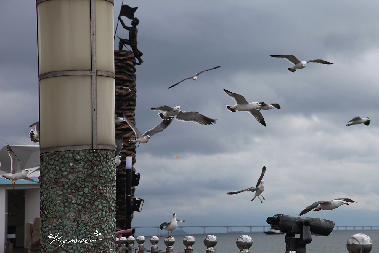 ◇韩国/首尔/仁川◇（图ZMTExODkyMzMy） - 风光摄影 - 站酷设计师AAAAAPIAO原创素材 - 站酷ZCOOL