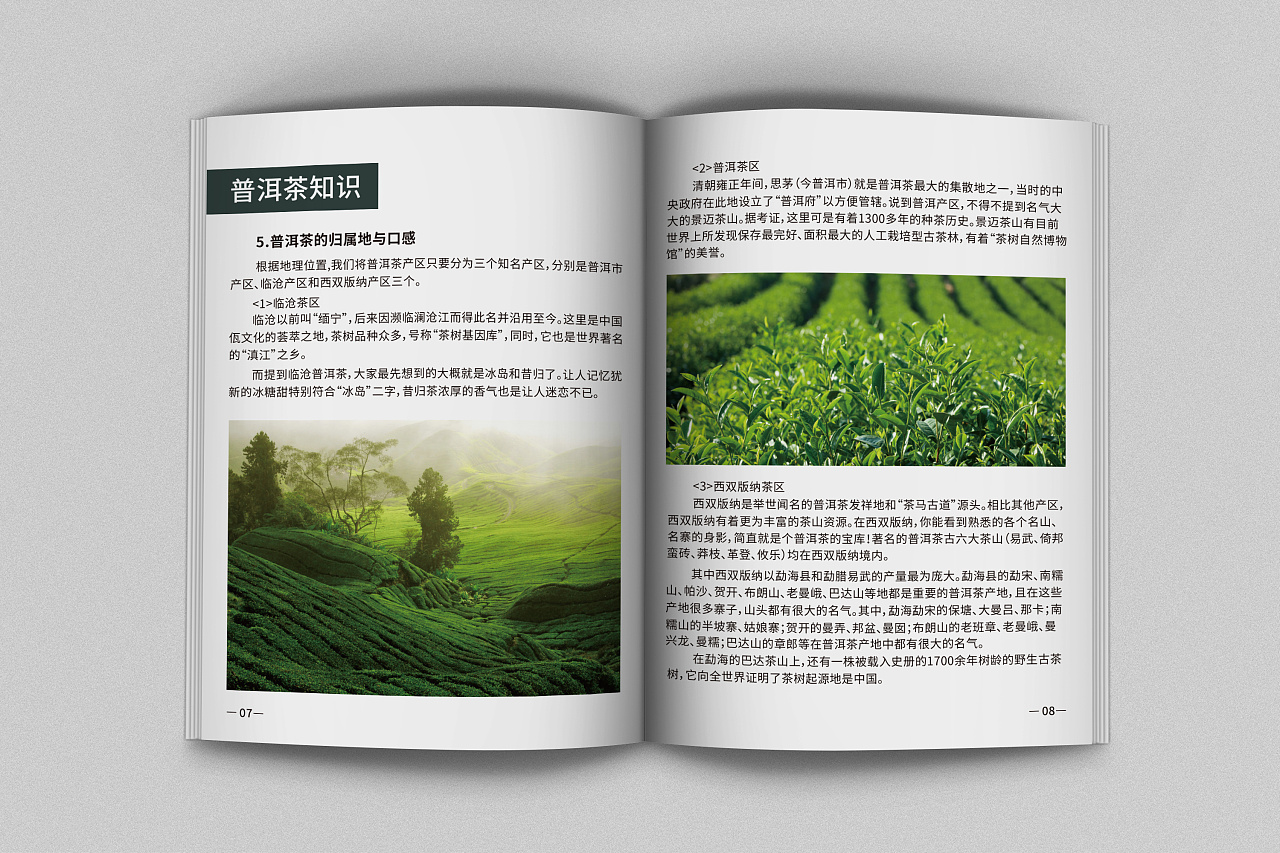 茶叶宣传册