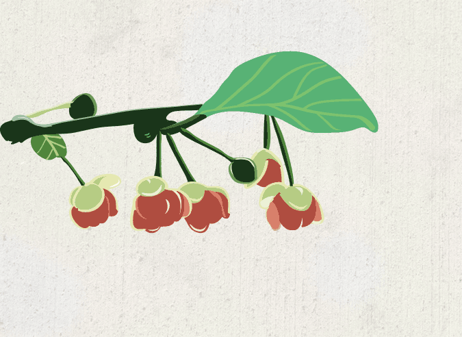 插画（图ZOTk3NTg0NzY=） - 创作习作 - 站酷设计师R冉染原创素材 - 站酷ZCOOL