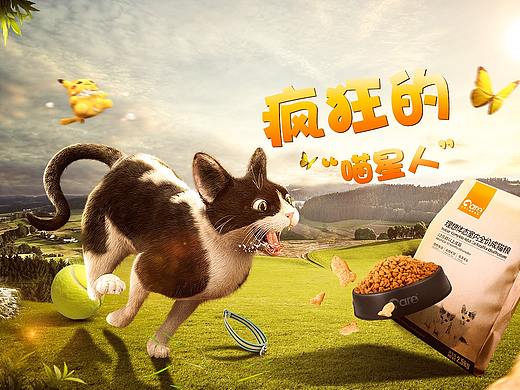 猫粮合成海报