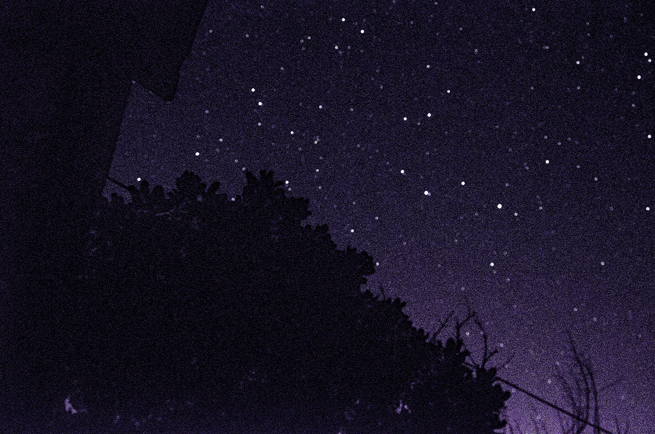 第三张 黑色是院子里的白玉兰树,覆盖大半个院子