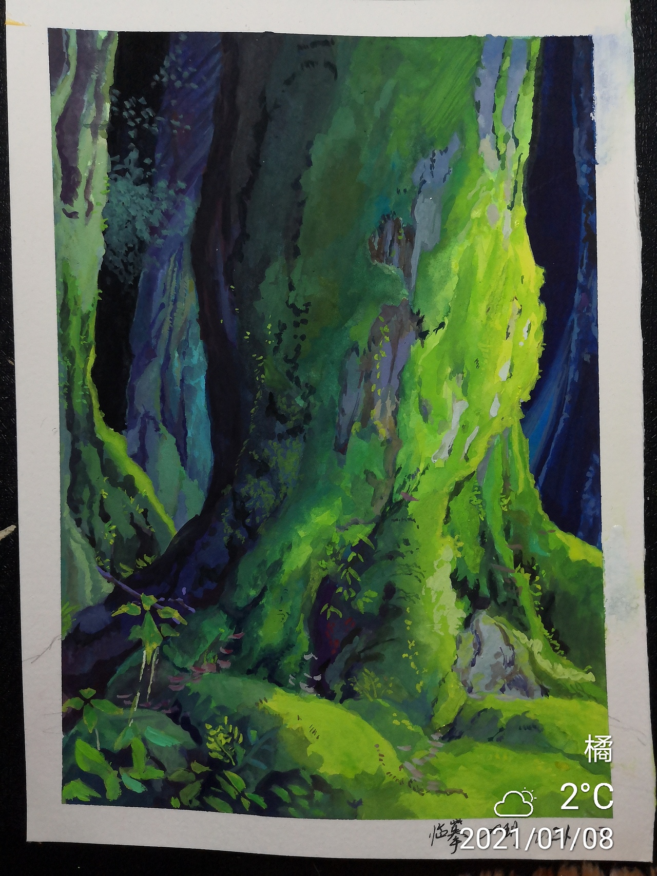 nicker不透明水彩