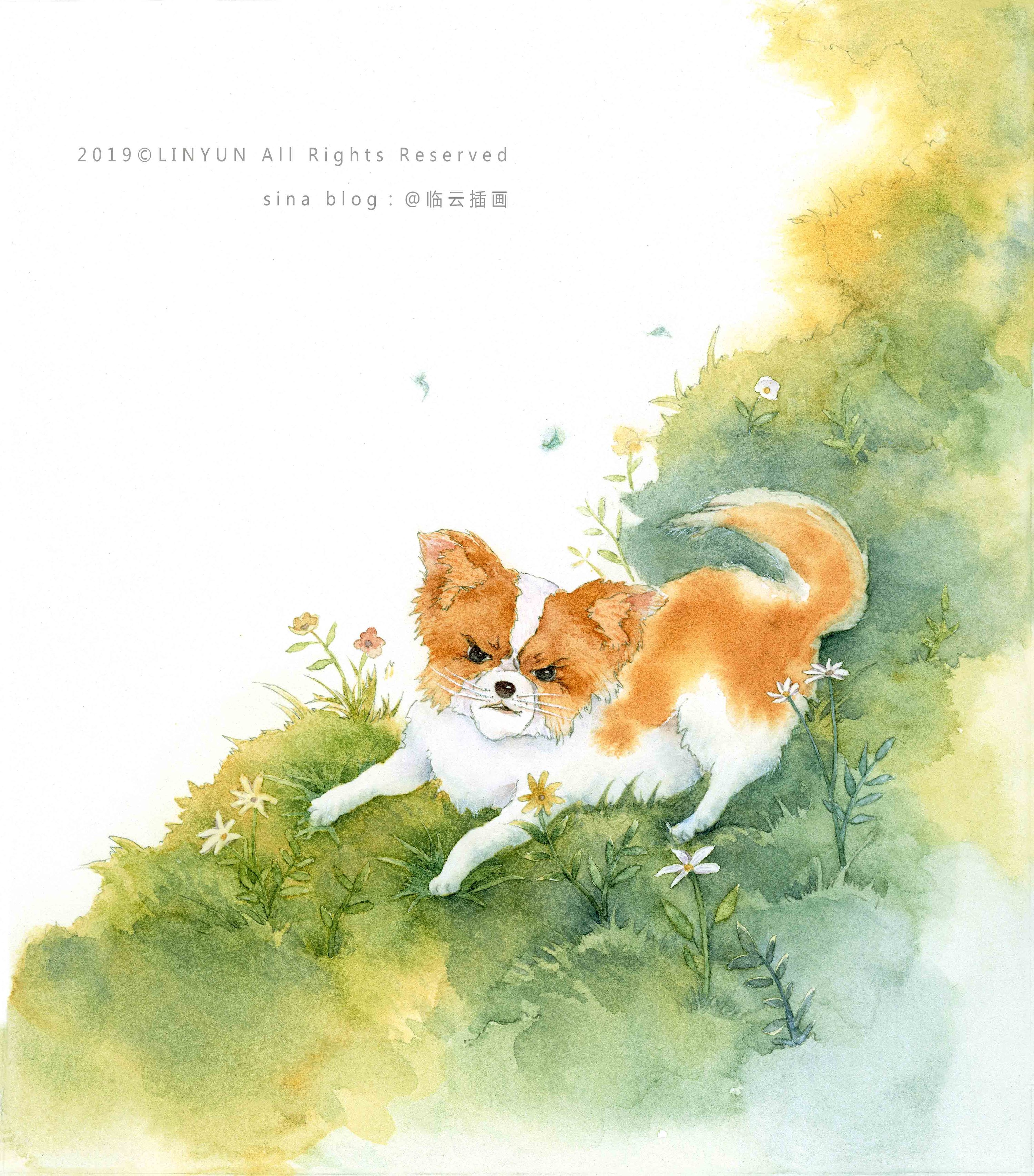 儿童文学插画 少年文学插画 文学插画 封面插画 绘本