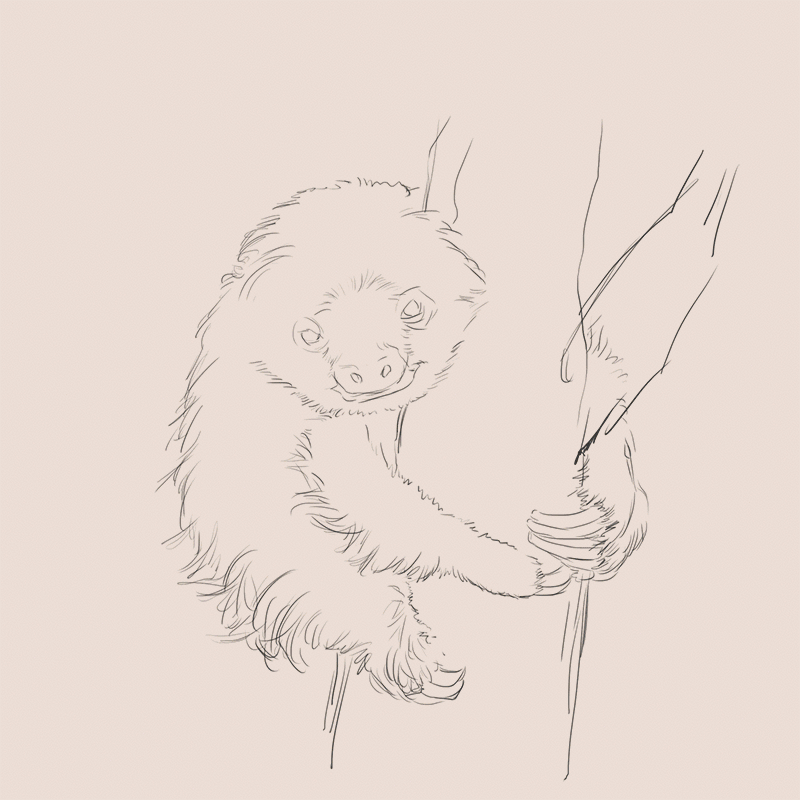 一波动物手绘+绘画过程动图