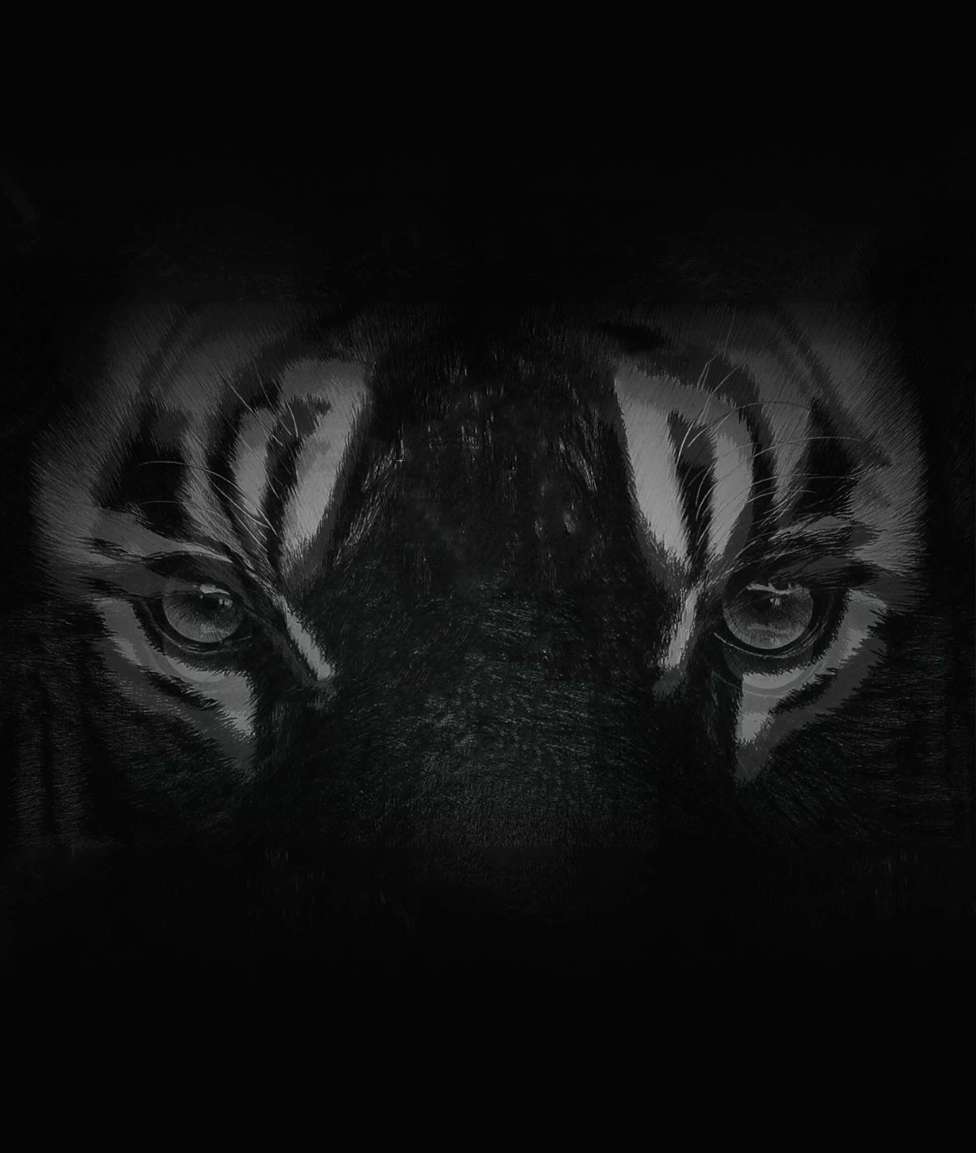 Teleinagine的個(gè)人主頁(yè)（封面預(yù)覽） - 主頁(yè)封面設(shè)置 - 站酷設(shè)計(jì)師Teleinagine原創(chuàng)素材 - 站酷ZCOOL