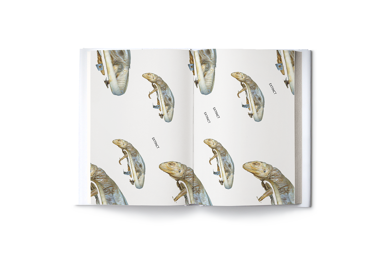 物种的消失或存在-自制书籍（图ZMjIwMjUwMDU2） - 书籍/画册 - 站酷设计师陈怡YiChen原创素材 - 站酷ZCOOL