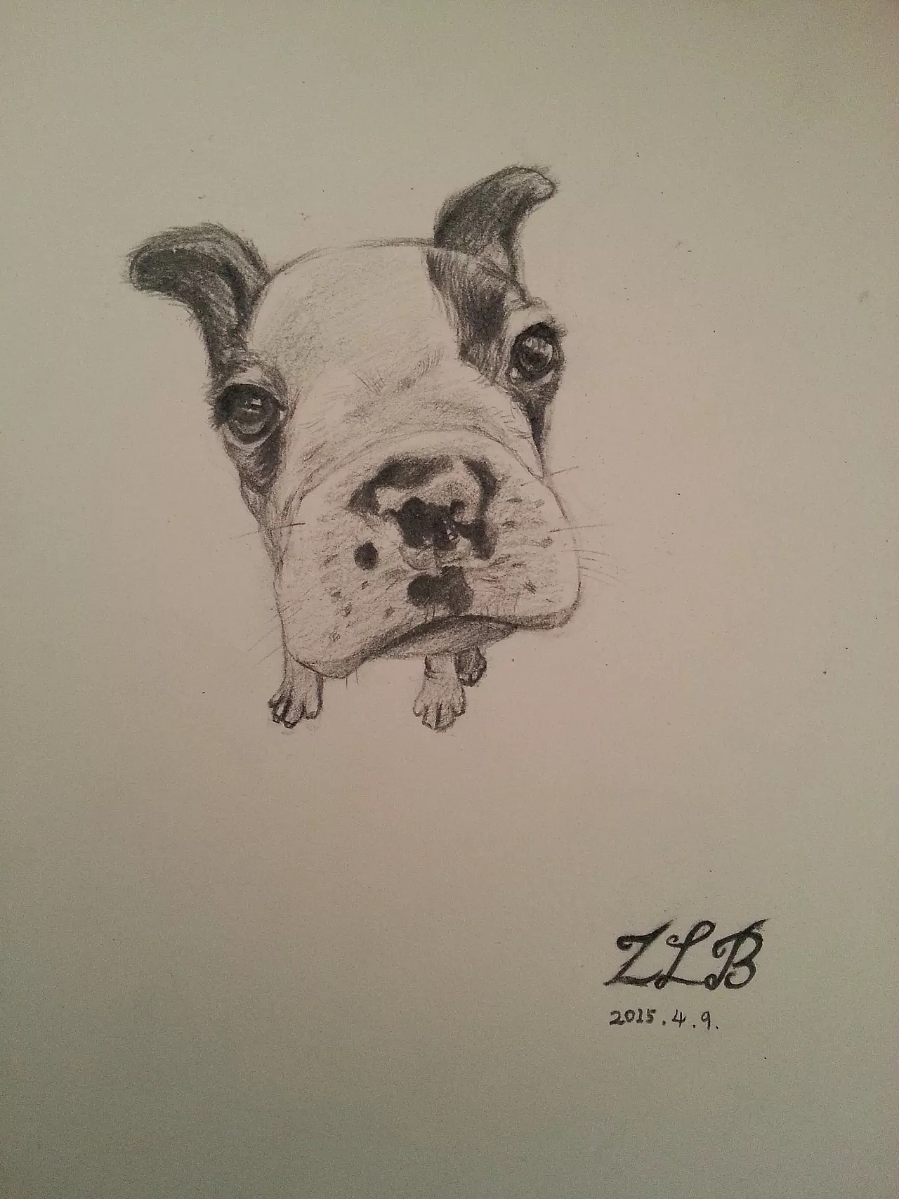 素描/手绘/部分展示