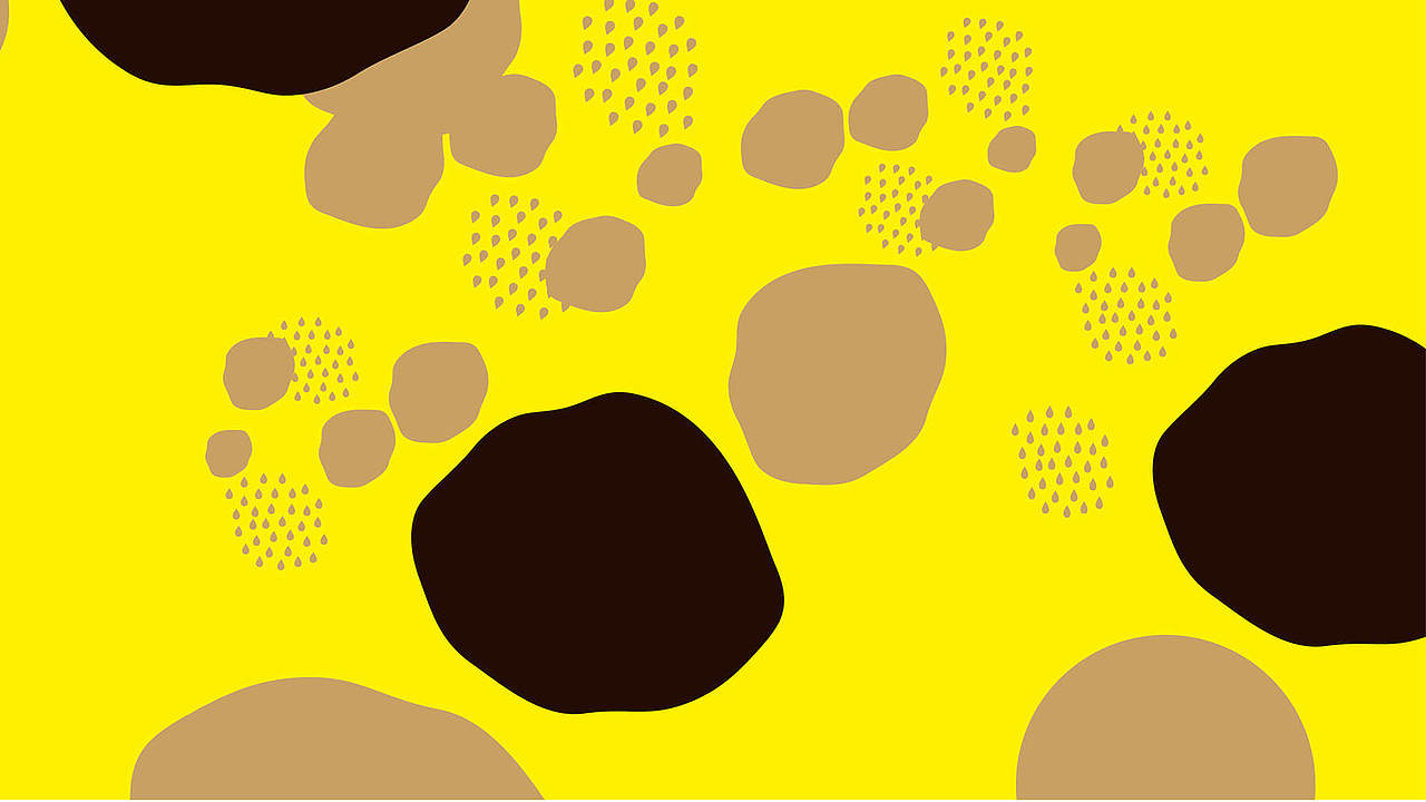 巧乐家 | 巧克力月饼 | Jalogar_Chocolate cakes（图ZODQzNDU5MzI=） - 包装 - 站酷设计师OKBRAND原创素材 - 站酷ZCOOL